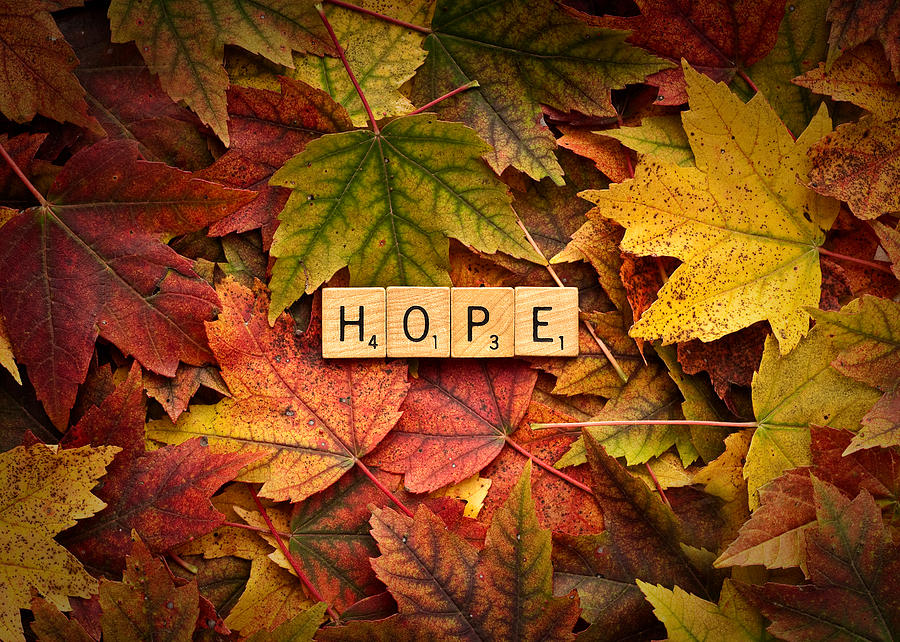 Autumn Sermons